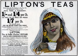 Liptons Teas reklám, 1893 alkotó: Unbekannt