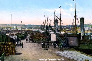 Loading Potatoes, Jersey, 1908 alkotó: Unbekannt