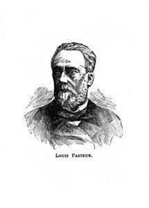 Louis Pasteur, 19. századi francia mikrobiológus és vegyész, XX alkotó: Unbekannt