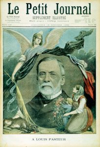 Louis Pasteur francia kémikus, 1895 alkotó: Unbekannt