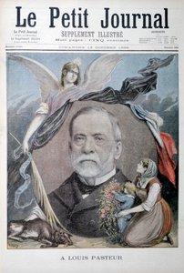 Louis Pasteur francia kémikus, 1895 alkotó: Unbekannt
