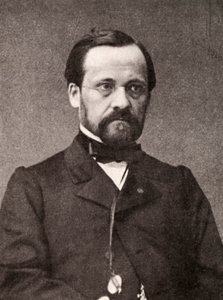 Louis Pasteur, francia mikrobiológus és kémikus, XIX alkotó: Unbekannt