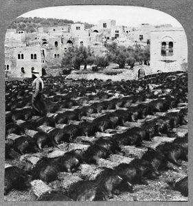 Borosüvegek készítése, Hebron, c1900 alkotó: Unbekannt