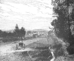Market Street, Pretoria, 1880-as évek alkotó: Unbekannt