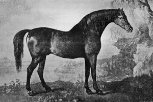 Marske, 1750-1779, 1911 alkotó: Unbekannt