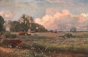 Meadow Sweets, 1893, c1902. alkotó: Unbekannt