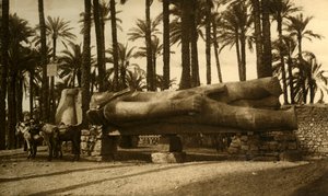 Memphis – II. Ramszesz kolosszális szobra, c1918-c1939. alkotó: Unbekannt