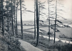 Menai – Bangor Woodból, 1895 alkotó: Unbekannt