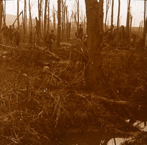 Mount Kemmel, Flandria, Belgium, 1914-c1918 alkotó: Unbekannt