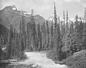Cheops és Remete hegyek, Selkirk-hegység, a Sziklás-hegység, USA, 1900 körül. alkotó: Unbekannt