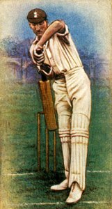 Mr. D. R. Jardine Surrey, 1928. alkotó: Unbekannt