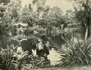 Mr. Ryans Gardens, Mount Macedon, Victoria, 1901. alkotó: Unbekannt