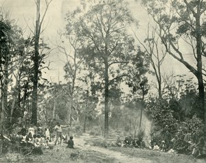 Natív sportok, Tyers-tó, 1901. alkotó: Unbekannt