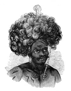 A Pápua-szigeteken őshonos, 1848 alkotó: Unbekannt