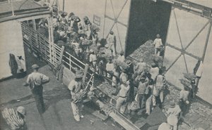 Banánt rakodó bennszülöttek a jamaicai Kingstonban, skót zsoltárokat énekelnek, 1937 alkotó: Unbekannt