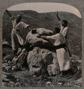Bárányáldozat felajánlása az oltáron, Moreh, 1900 alkotó: Unbekannt