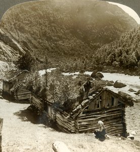 Régi gerendaházak Bratslandsdalban, gyeppel borított tetőn növekvő fákkal, Norvégia, 1905. alkotó: Unbekannt