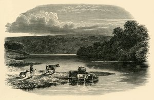 A Dee-n, 1890. alkotó: Unbekannt