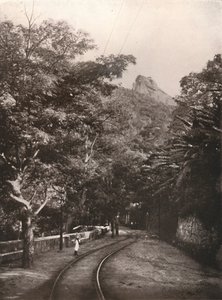 Útban Corcorado felé, 1914 alkotó: Unbekannt