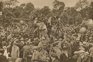 Civilizációnk egyik jele: jól felszerelt állatkertek a kíváncsiskodók örömére, c193 alkotó: Unbekannt