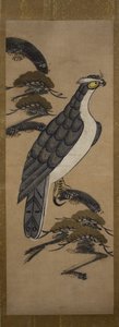 Otsu-e of Falcon egy fenyőfán, 18. század. alkotó: Unbekannt