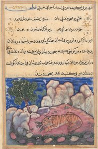 Oldal a Papagáj meséiből Tuti-nama: Tizenötödik éjszaka: Az egerek által megzavart oroszlán..., 1558-1560. alkotó: Unbekannt