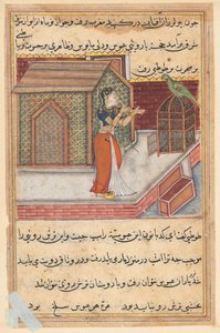 Oldal a Papagáj meséiből Tuti-nama: Negyvenkilencedik éjszaka: A papagáj megszólítja Khujasta..., c1560. alkotó: Unbekannt