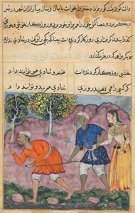 Oldal a Papagáj meséiből Tuti-nama: Negyvenkettedik éjszaka: A Rajas lánya..., c. 1560. alkotó: Unbekannt