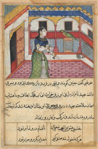 Oldal a Papagáj meséiből Tuti-nama: Negyvenkettedik éjszaka: A papagáj megszólít..., c. 1560. alkotó: Unbekannt