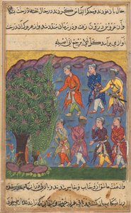 Oldal a Papagáj meséiből Tuti-nama: Hatodik éjszaka: Hét férfi vitatja a birtoklást..., c. 1560. alkotó: Unbekannt