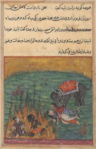 Oldal a Papagáj meséiből Tuti-nama: Huszonkettedik éjszaka: Büntetésül..., c. 1560. alkotó: Unbekannt