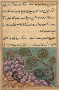Oldal a Papagáj meséiből Tuti-nama: Huszonhatodik éjszaka: A trónfosztott béka..., c. 1560. alkotó: Unbekannt