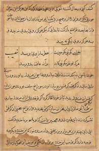 Oldal a Papagáj meséiből Tuti-nama: szövegoldal, c. 1560. alkotó: Unbekannt