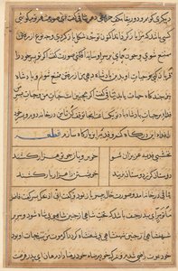 Oldal a Papagáj meséiből Tuti-nama: szövegoldal, c. 1560. alkotó: Unbekannt