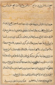 Oldal a Papagáj meséiből Tuti-nama: szövegoldal, c. 1560. alkotó: Unbekannt