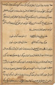 Oldal a Papagáj meséiből Tuti-nama: szövegoldal, c. 1560. alkotó: Unbekannt
