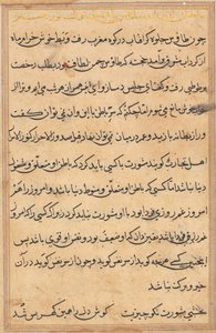 Oldal a Papagáj meséiből Tuti-nama: szövegoldal, c. 1560. alkotó: Unbekannt