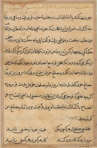 Oldal a Papagáj meséiből Tuti-nama: szövegoldal, c. 1560. alkotó: Unbekannt