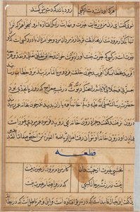 Oldal a Papagáj meséiből Tuti-nama: szövegoldal, c. 1560. alkotó: Unbekannt
