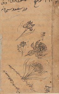 Oldal a Papagáj meséiből Tuti-nama: szövegoldal, c. 1560. alkotó: Unbekannt