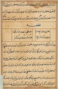 Oldal a Papagáj meséiből Tuti-nama: szövegoldal, c. 1560. alkotó: Unbekannt