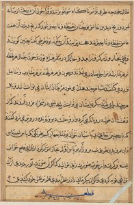 Oldal a Papagáj meséiből Tuti-nama: szövegoldal, c. 1560. alkotó: Unbekannt