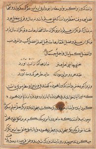 Oldal a Papagáj meséiből Tuti-nama: szövegoldal, c. 1560. alkotó: Unbekannt