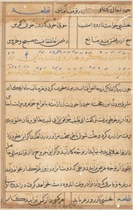 Oldal a Papagáj meséiből Tuti-nama: szövegoldal, c. 1560. alkotó: Unbekannt