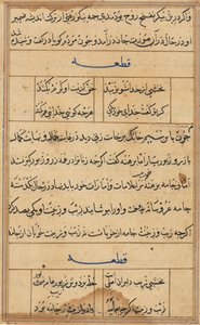 Oldal a Papagáj meséiből Tuti-nama: szövegoldal, c. 1560. alkotó: Unbekannt