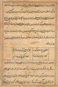 Oldal a Papagáj meséiből Tuti-nama: szövegoldal, c. 1560. alkotó: Unbekannt