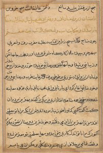 Oldal a Papagáj meséiből Tuti-nama: szövegoldal, c. 1560. alkotó: Unbekannt