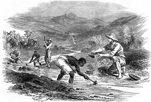 Aranymosás az 1849-es kaliforniai aranyláz idején alkotó: Unbekannt