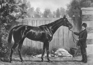 Paradoxon, 1882-1890, 1911 alkotó: Unbekannt