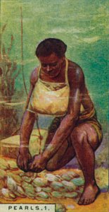 Pearls 1. Native Diver at Work, Ceylon, 1928 alkotó: Unbekannt